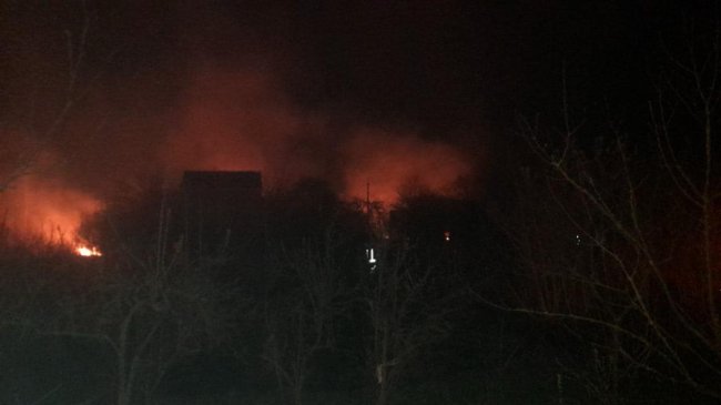 Через масштабну пожежу сухостою на Волині мало не згорів дачний масив