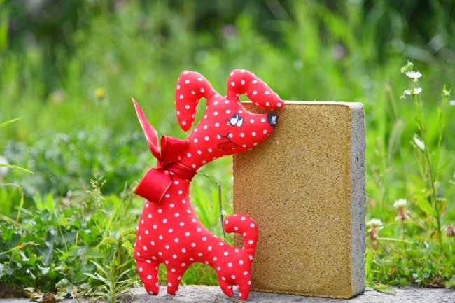 Ранкова кава, обідня регата, вечірні подорожі: шалені пригоди бруківки «Le Bruk» у Луцьку*