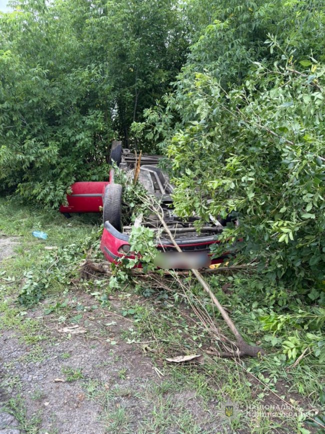 На Волині водій злетів у кювет і перекинувся: в салоні було двоє дітей 9 і 4 років