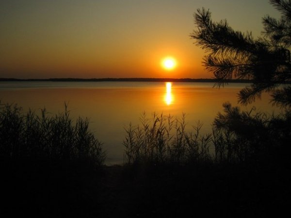 Автор Савчук Богдан