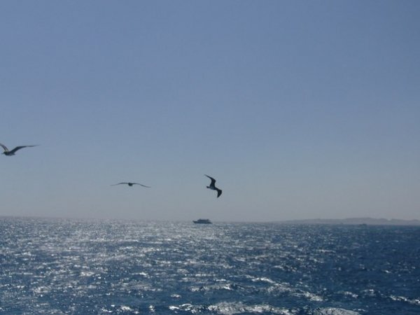 Автор Наталя Тандрик