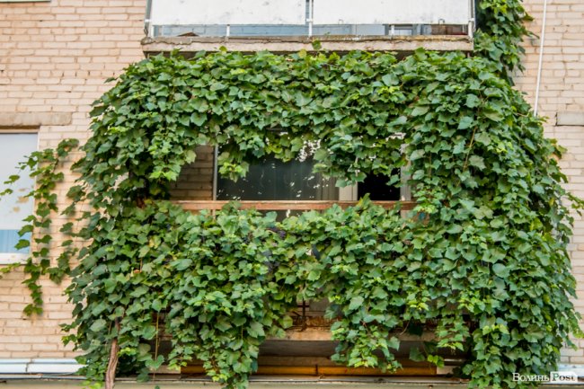 «Хто живе на ЛПЗ, тому у житті везе»: день на луцькому районі контрастів. ФОТО