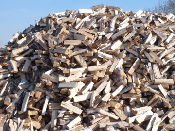 Волинянка віддала шахраям майже 10 тисяч за неіснуючі дрова