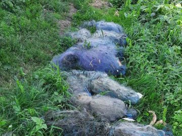 На території волинського заказника затримали рибалку-браконьєра