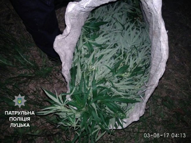 Луцькі патрульні спіймали підлітків з мішком коноплі