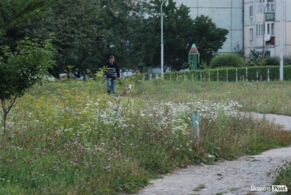 Місто, яке я люблю. Луцьк прокидається. Частина 4