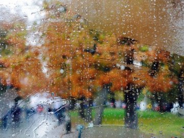 Погода в Луцьку та Волинській області на завтра, 20 жовтня