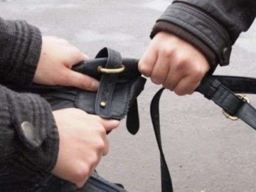 Грабіжник вирвав із рук 54-річного волинянина сумку з документами та втік