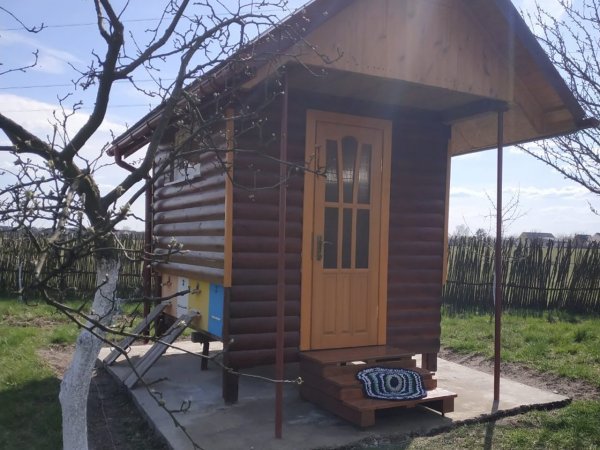 На Волині можна спробувати лікувальний сон на бджолиних вуликах