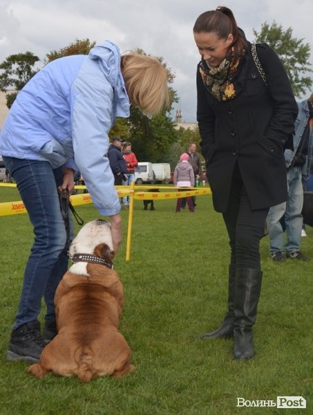 У Луцьку – виставка собак. ФОТО