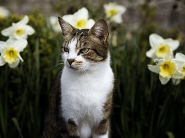Погода в Луцьку та Волинській області на п’ятницю, 22 березня