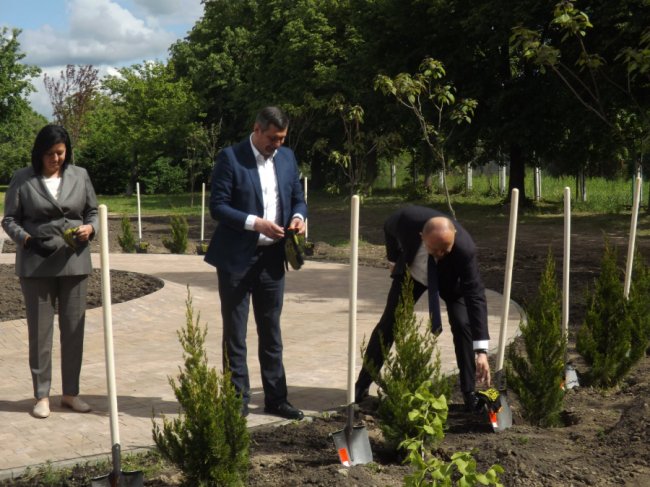 «Коло дружби»: у Сквері майбутнього поблизу волинського перинатального центру посадили туї