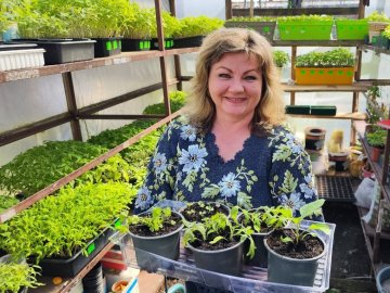 Колекціонерка городніх культур із Волині вирощує 74 сорти томатів 