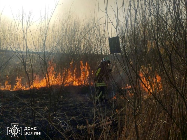 Волинь у вогні: у регіоні через паліїв сухостою масово виникають пожежі