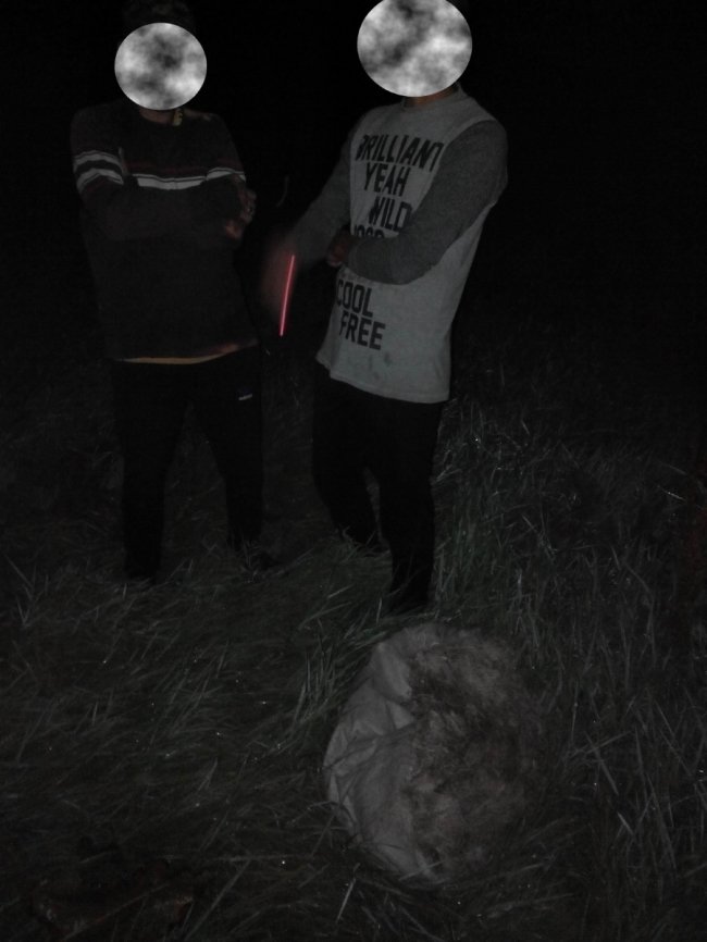 У 2019 році рибні браконьєри на Волині завдали шкоди на 70 тисяч гривень