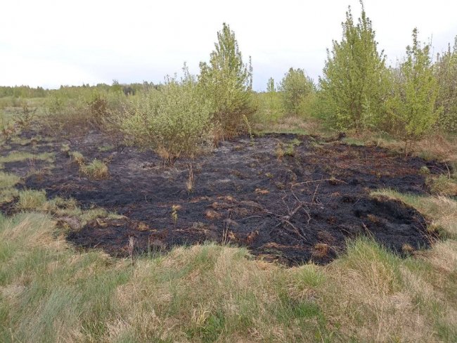 На Волині горіли квартира, житловий будинок, господарська споруда та суха трава