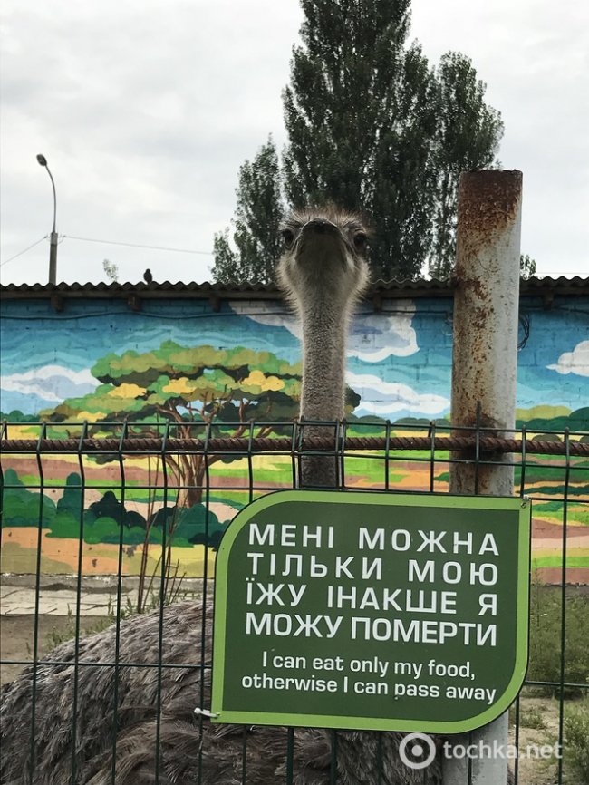 Що побачити у Луцьку за 48 годин: топ цікавих місць