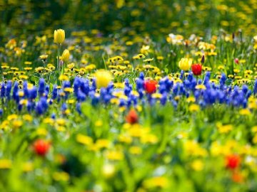 Погода в Луцьку та Волинській області на четвер, 20 травня