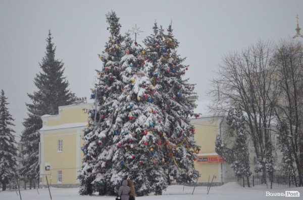 Як Луцьк замело снігом. ФОТО