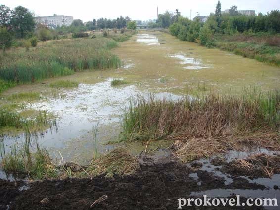 На Ковельщині обміліла головна річка міста. ФОТО. ВІДЕО