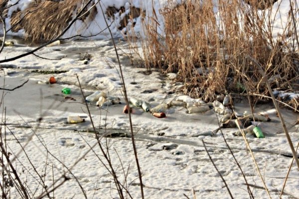 Сміттєзвалище «на 340 тисяч» й досі «прикрашає» Луцьк. ФОТО