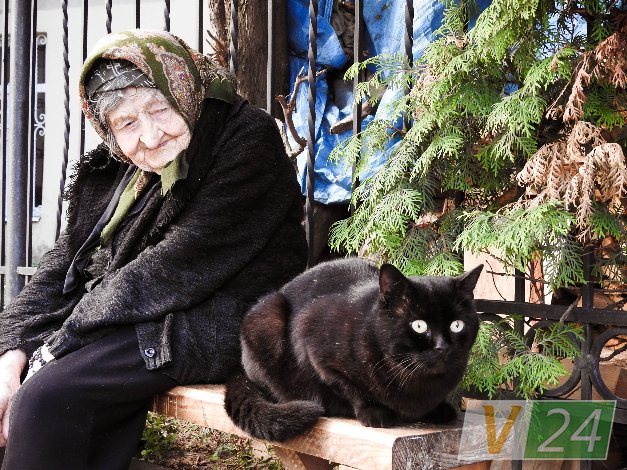 Історія гордого Мурчика, або Як чорний кіт потрапив у луцький монастир