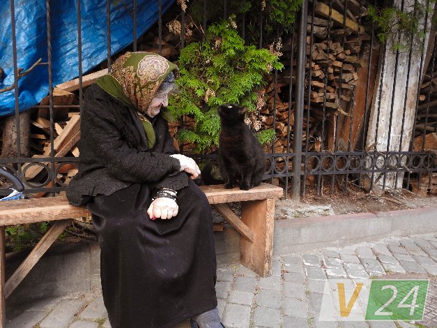 Історія гордого Мурчика, або Як чорний кіт потрапив у луцький монастир