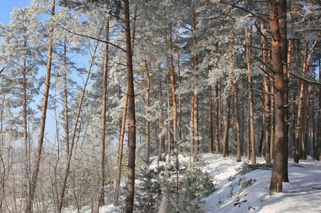Казковий Стир скувало кригою. ФОТО
