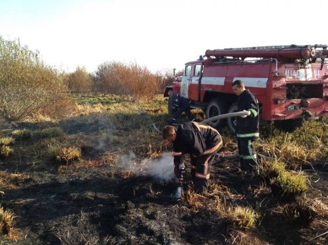 На гасіння масштабної пожежі на торфовищі залучили спецтехніку з Луцька