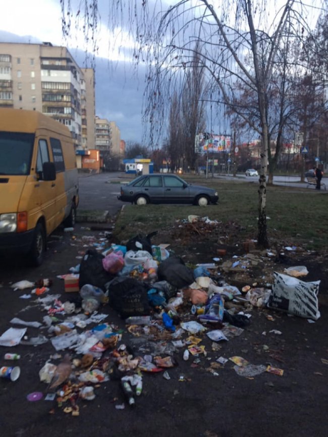 «Не будьте свиньми»: лучани викидають сміття просто на дорогу. ФОТО