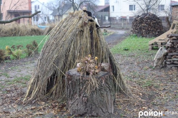 «Озерний вітер»: простір, в якому живе мистецтво. ФОТО