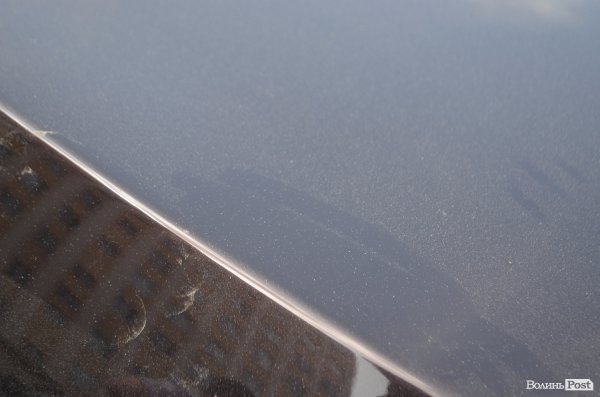 Ці білі цятки нагадують пил, але вони не відтриаються