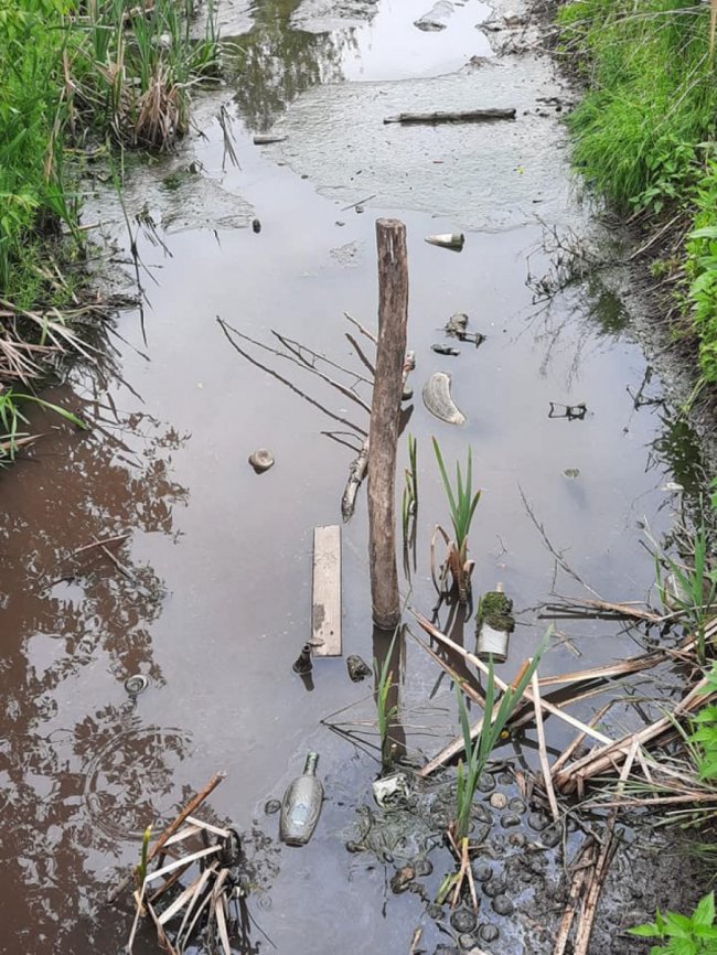 Купи сміття та обміління: показали, який вигляд має озеро у Ківерцях. ФОТО