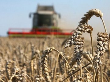 Є чим пишатися: волинські аграрії представлять область на міжнародній виставці