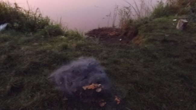 На Волині зловили браконьєрів, які ловили рибу з човна острогою і сітками