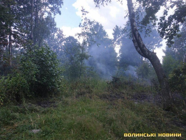 В Озерці палає ліс. ФОТО