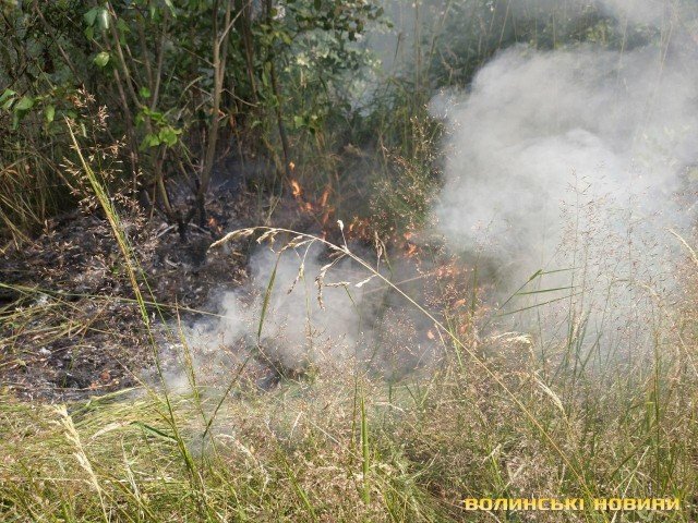 В Озерці палає ліс. ФОТО