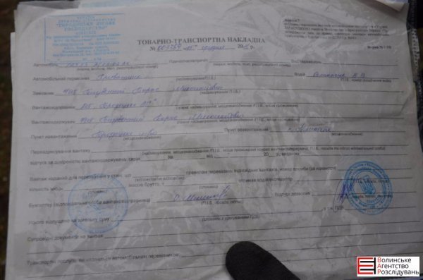 Ялинковий бізнес по-луцьки: ціни, дозволи, чіпи