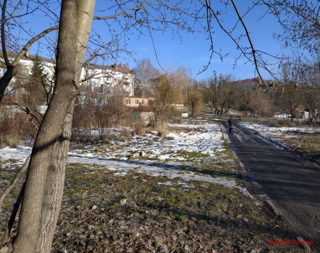 Луцький фотограф показав, де «лютневе сонечко лоскоче вії»