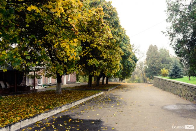 Місто, оповите легким серпанком туману: осінній Луцьк у фото 
