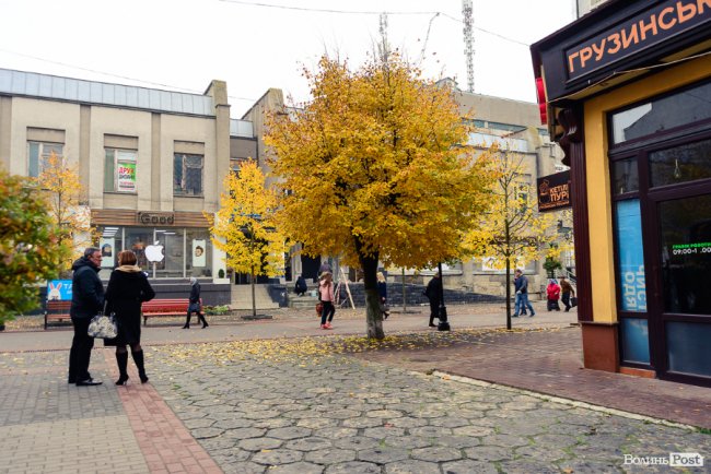 Місто, оповите легким серпанком туману: осінній Луцьк у фото 