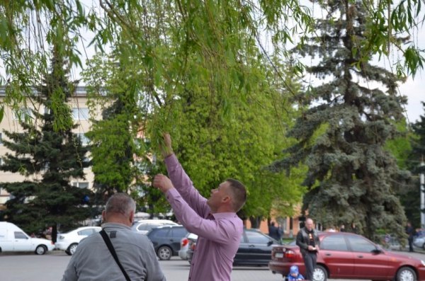 У Луцьку прихожани хотіли зекономити на вербі. ФОТО