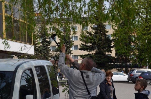 У Луцьку прихожани хотіли зекономити на вербі. ФОТО