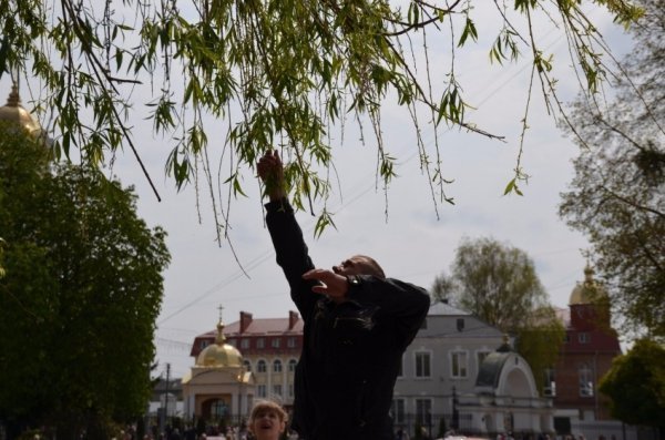 У Луцьку прихожани хотіли зекономити на вербі. ФОТО