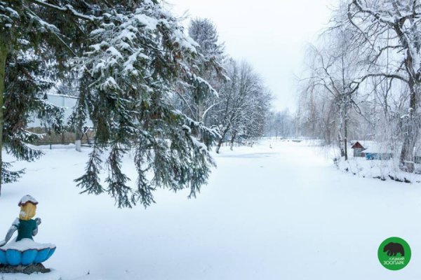 Зима в Луцькому зоопарку