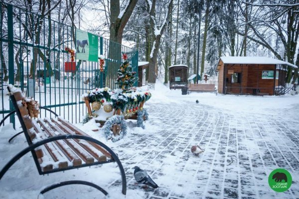 Зима в Луцькому зоопарку
