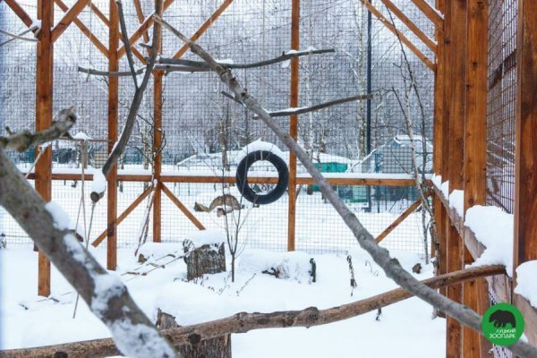Зима в Луцькому зоопарку