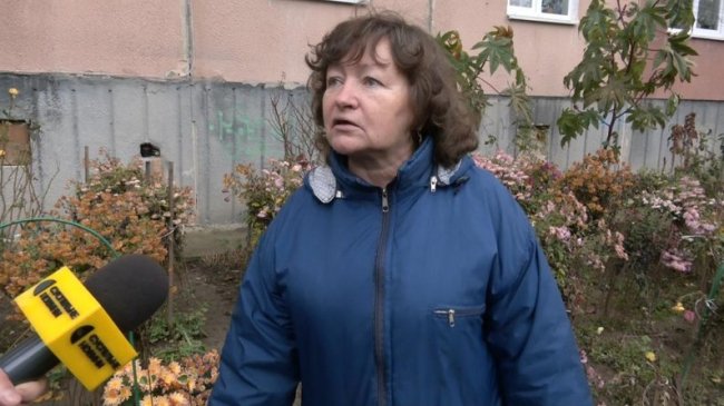 У дворі луцької багатоповерхівки посеред грудня цвітуть квіти