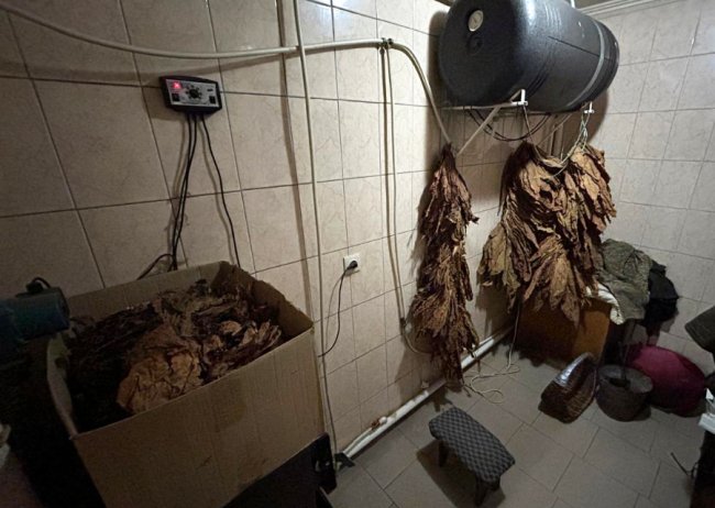 На Волині викрили незаконну «тютюнову фабрику». ВІДЕО