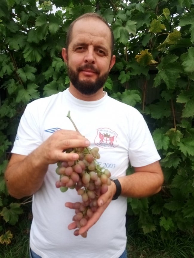 Садівник з Волині вирощує виноград, фісташки і пасифлору 